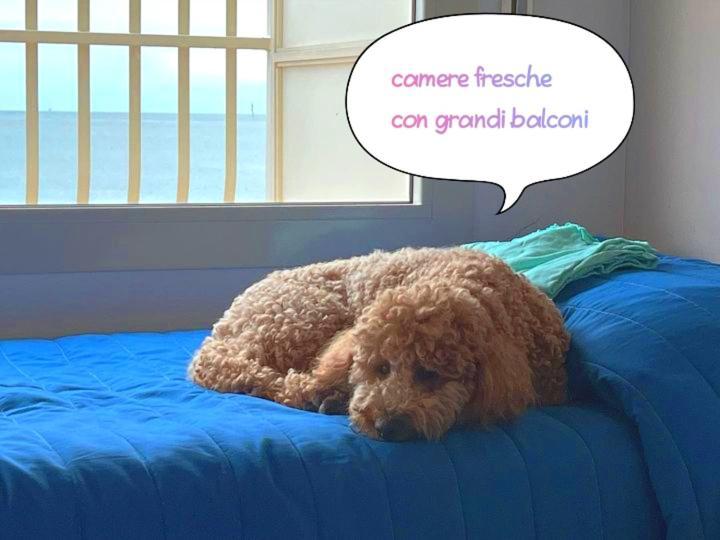 Hotel Buenos Aires Cervia Zewnętrze zdjęcie
