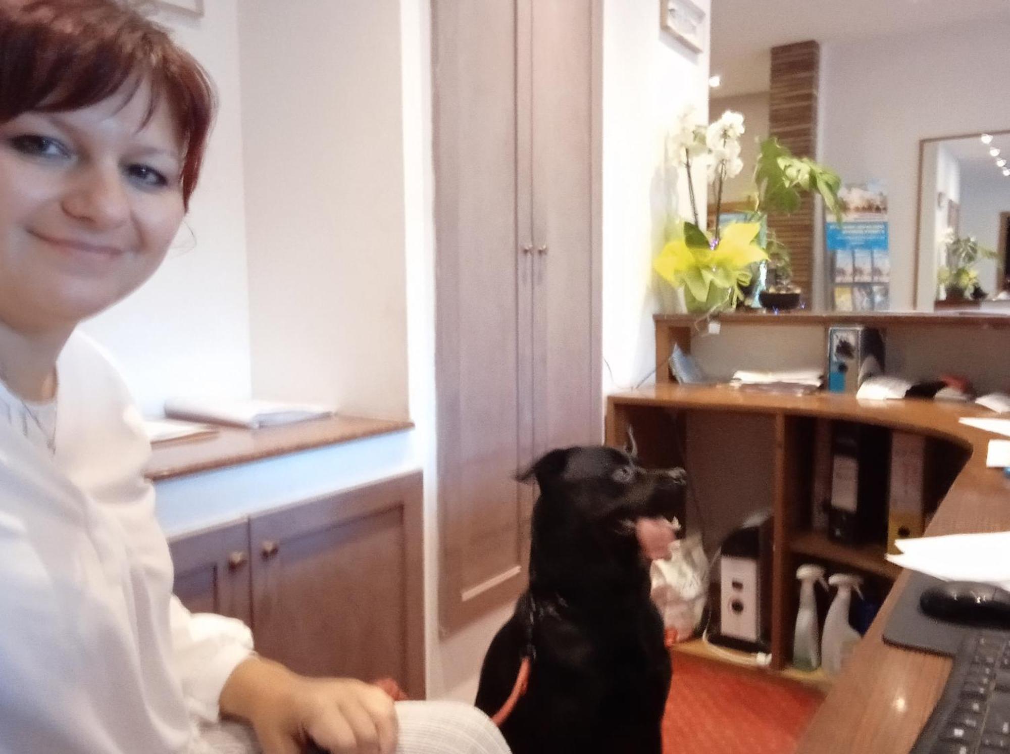Hotel Buenos Aires Cervia Zewnętrze zdjęcie