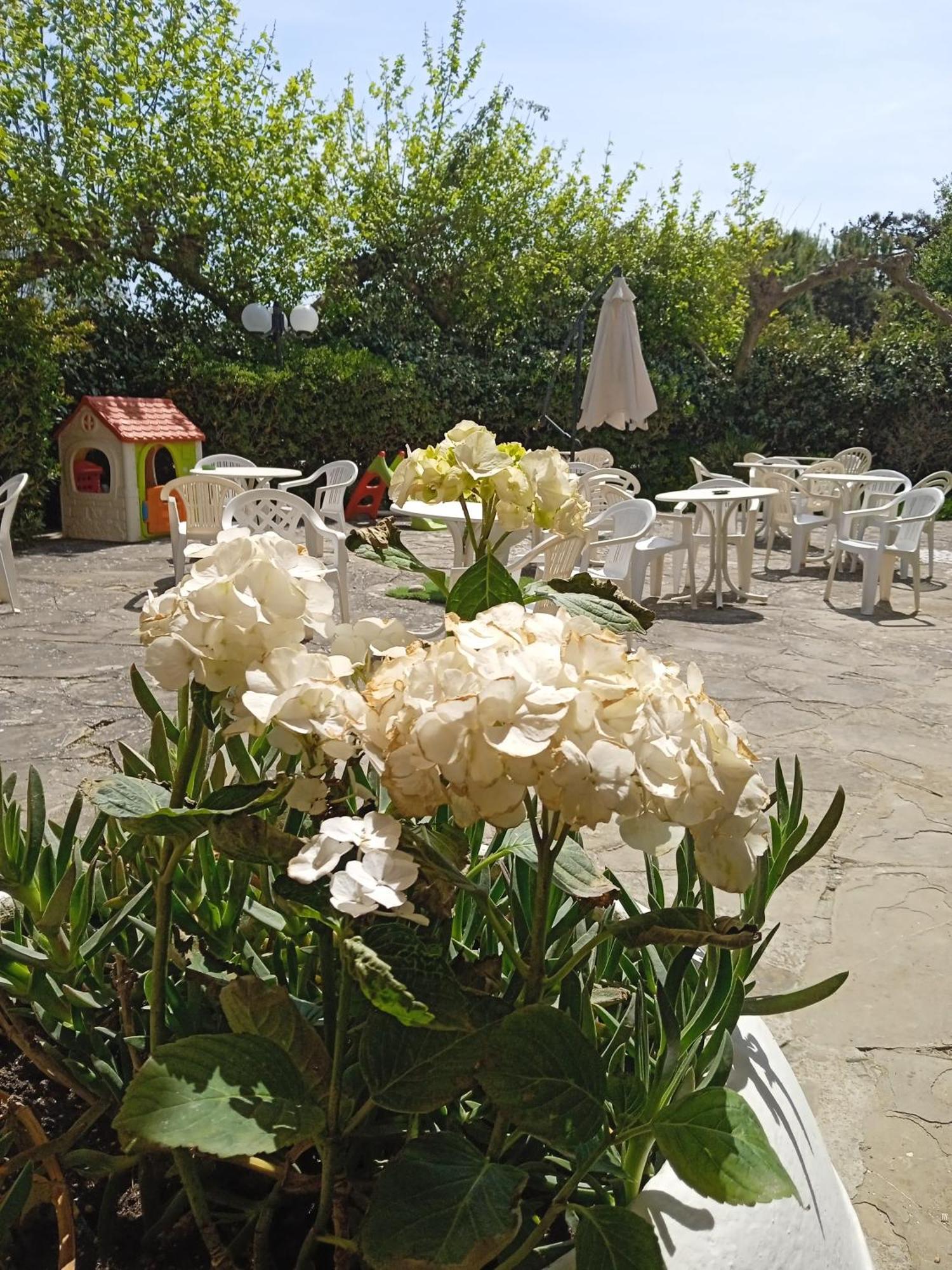 Hotel Buenos Aires Cervia Zewnętrze zdjęcie